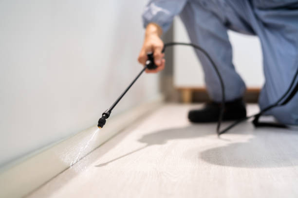 Licensed Exterminator service in Worland, WY - Show Me Pest Control