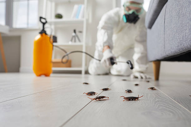 Post-Treatment Bed Bug Interceptor Monitoring in Worland