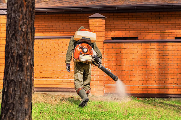 Bed Bug Clearance Verification and Documentation in Worland